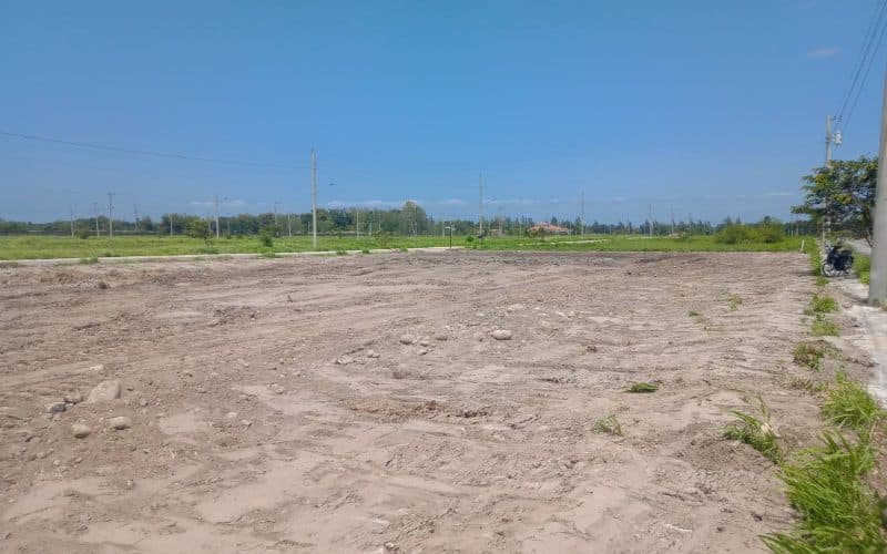 image00007